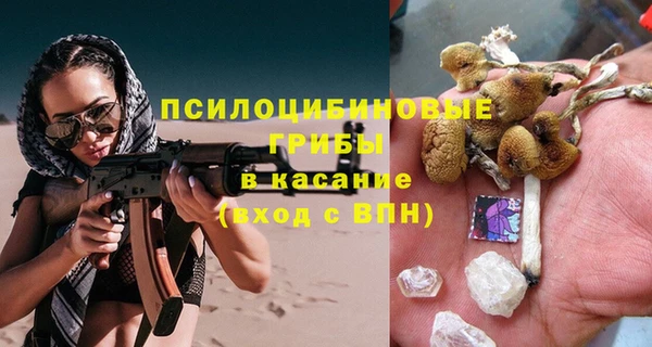 шишки Горняк